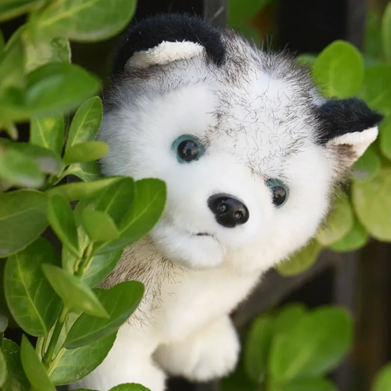 Adorable Realistic Husky Stuffed Toy Perfect Gift for Kids