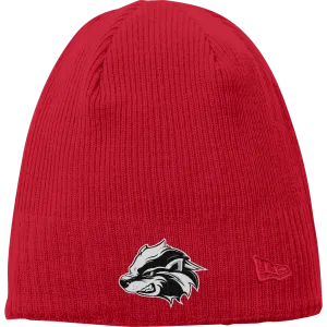 Allegheny Badgers New Era Knit Beanie