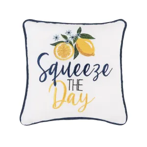 Squeeze The Day Mini Pillow